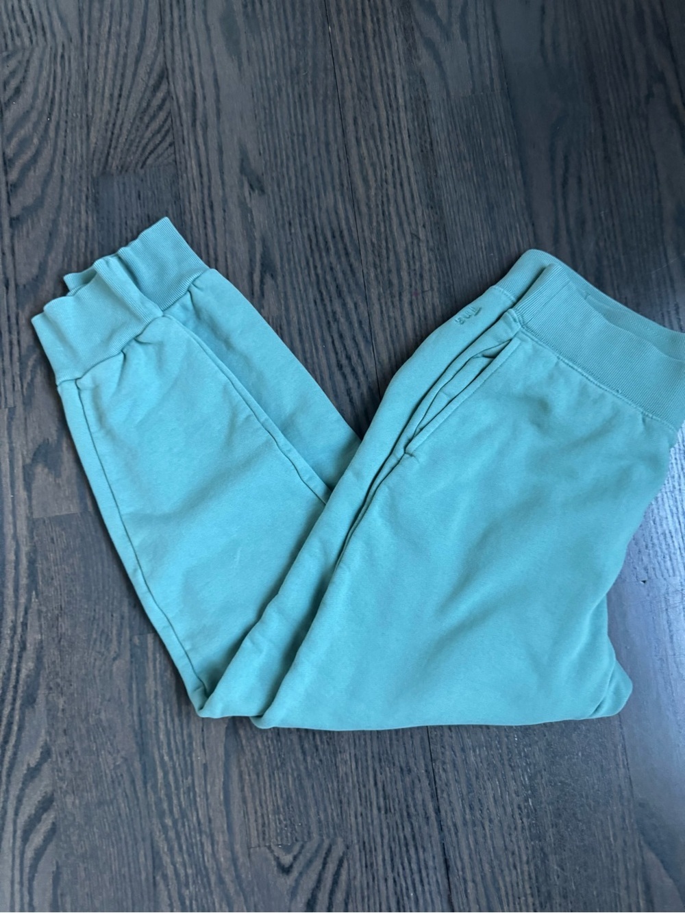TNA Cozy AF Joggers Size Medium